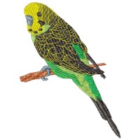 Budgerigar Parakeet Embroidery Design 3 Sizes