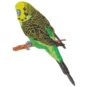 Budgerigar Parakeet Embroidery Design 3 Sizes
